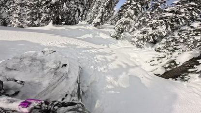 Polaris Big Bore 1000